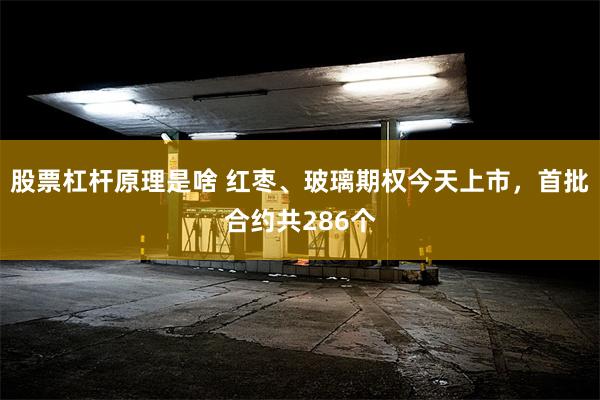 股票杠杆原理是啥 红枣、玻璃期权今天上市，首批合约共286个