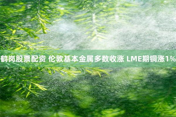 鹤岗股票配资 伦敦基本金属多数收涨 LME期铜涨1%