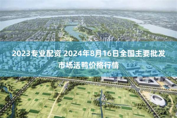 2023专业配资 2024年8月16日全国主要批发市场活鸭价格行情