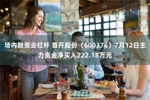 场内融资去杠杆 首开股份（600376）7月12日主力资金净买入222.18万元