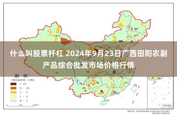 什么叫股票杆杠 2024年9月23日广西田阳农副产品综合批发市场价格行情