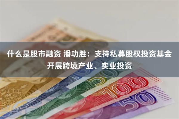 什么是股市融资 潘功胜：支持私募股权投资基金开展跨境产业、实业投资