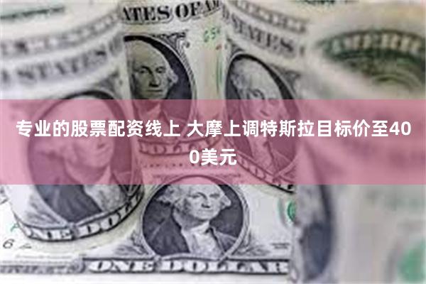 专业的股票配资线上 大摩上调特斯拉目标价至400美元