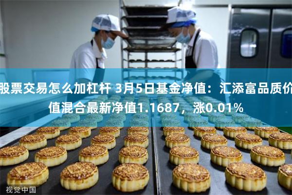 股票交易怎么加杠杆 3月5日基金净值：汇添富品质价值混合最新净值1.1687，涨0.01%