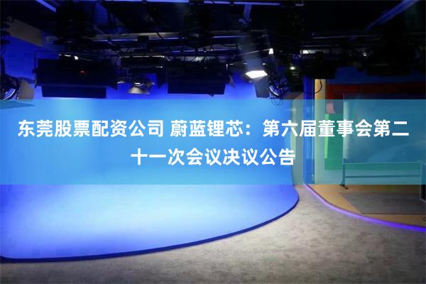 东莞股票配资公司 蔚蓝锂芯：第六届董事会第二十一次会议决议公告