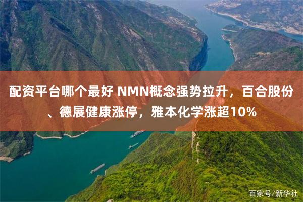 配资平台哪个最好 NMN概念强势拉升，百合股份、德展健康涨停，雅本化学涨超10%